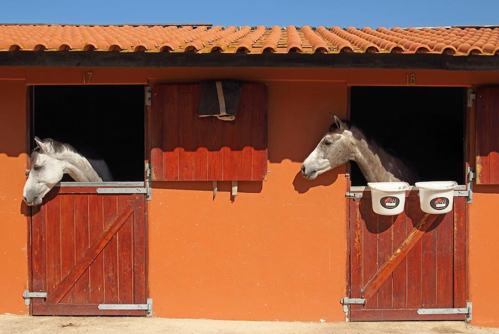 Quinta Da Bicuda Villa Cascais Ngoại thất bức ảnh